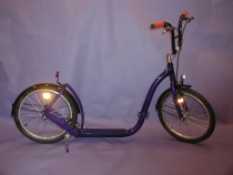 Champion 1 - s odpruženou vidlicí